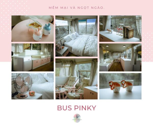 BUS PINKY - chiếc bus thơ mộng nhất sẽ chọn những chiếc rèm vải sọc caro trắng làm điểm nhấn, Cre pic: Dream Of Dreamer Homestay