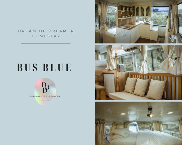 BUS BLUE - chọn vẻ đẹp tự nhiên nhất của rèm vải canvas mộc kem thô, Cre pic: Dream Of Dreamer Homestay